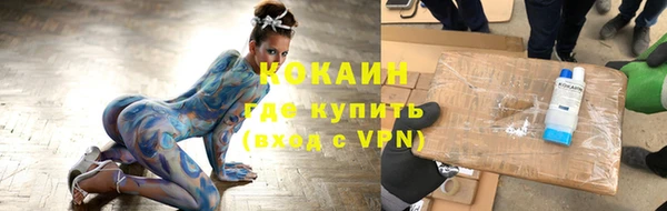 шишки Апатиты