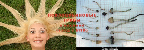 mdpv Абинск