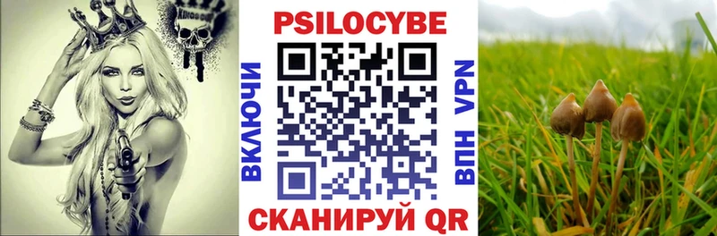 Псилоцибиновые грибы прущие грибы  Усолье 